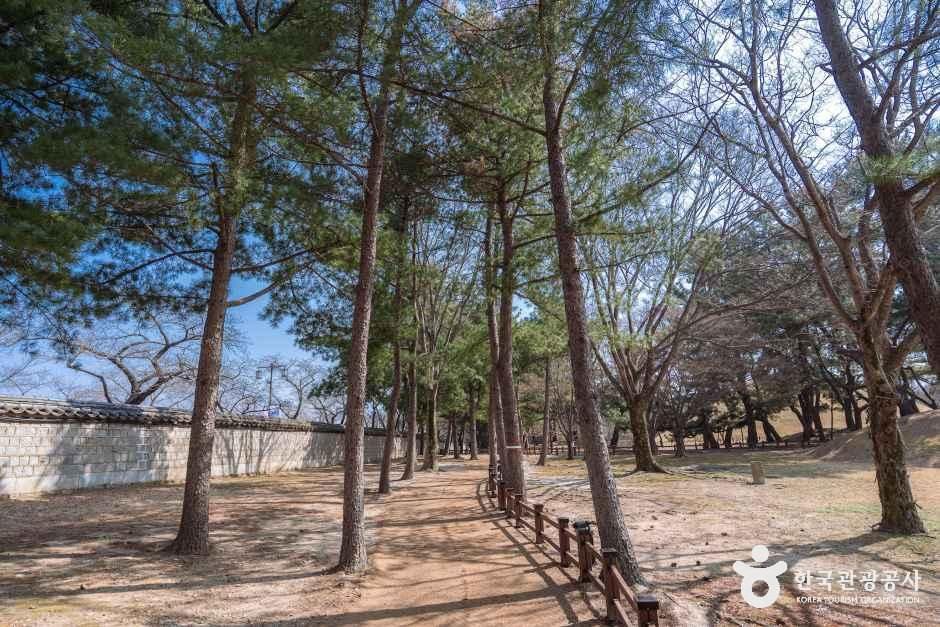 thumbnail-경주 대릉원 일원-15