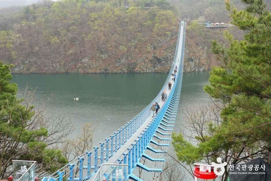 thumbnail-초평호 미르309 출렁다리-6