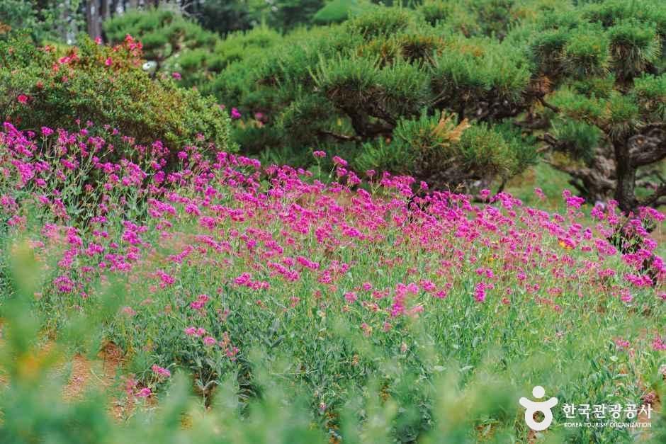 thumbnail-아가페정원-36