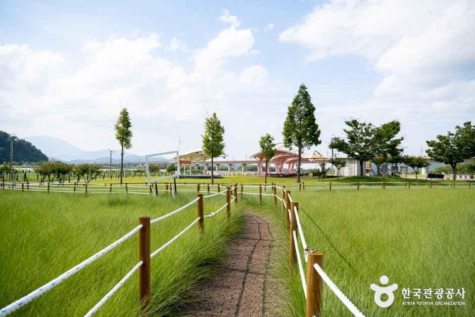 칠곡보 생태공원