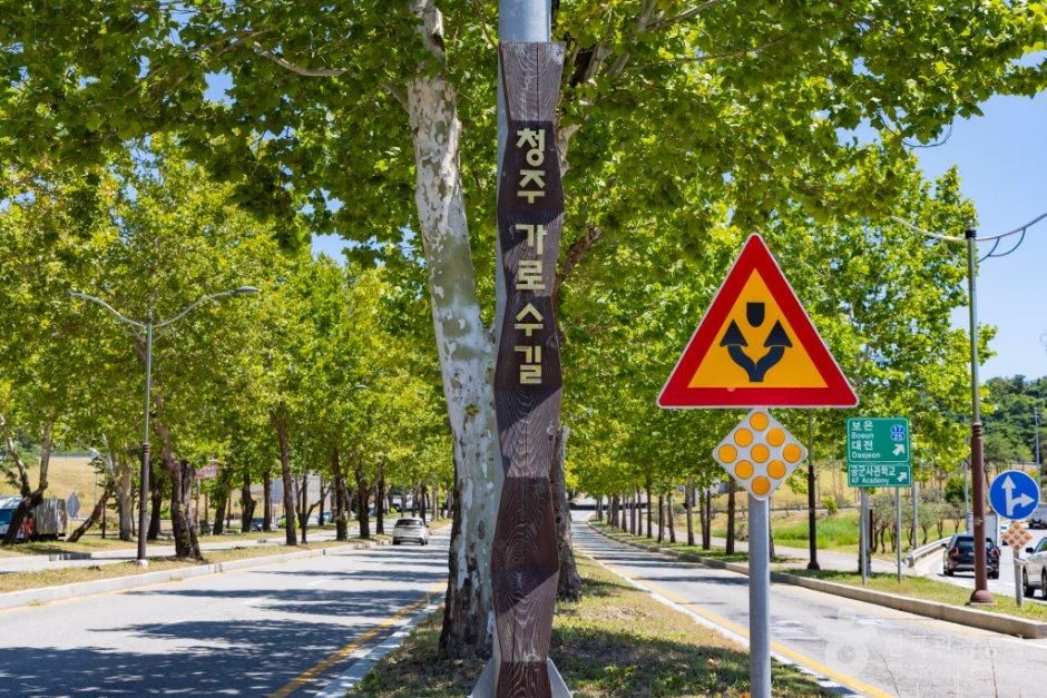 thumbnail-청주 가로수길-8