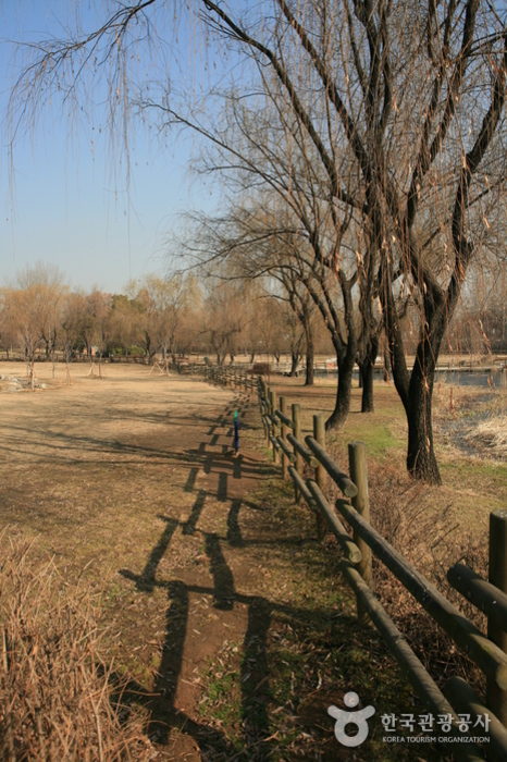 Yongsan Park (용산공원)
