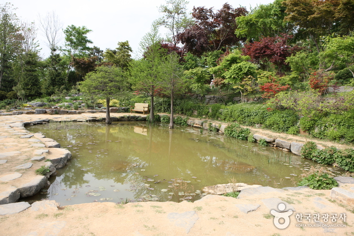 Hantaek Botanical Garden (한택식물원)