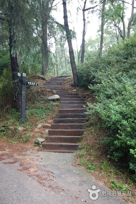 용봉산자연휴양림1