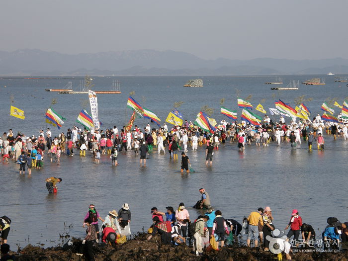 Jindo Miracle Sea Festival (진도 신비의바닷길축제)