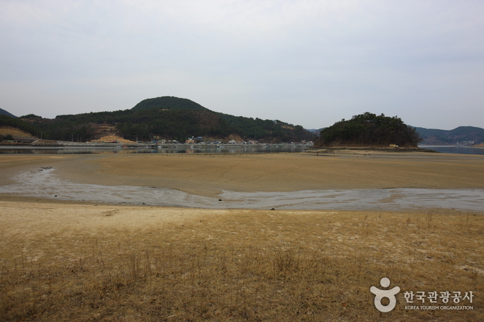 배알도 수변공원0