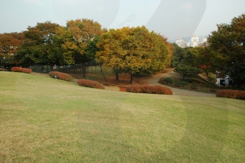 서울 몽촌토성9