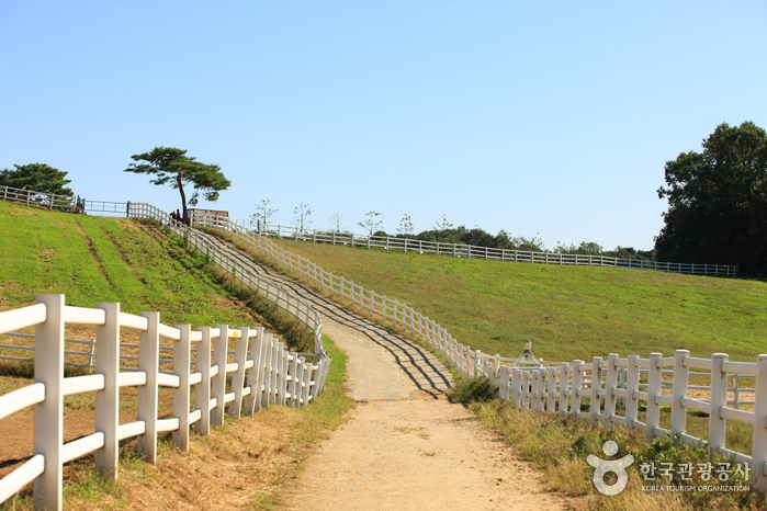 thumbnail-Wondang Horse Ranch (Let's Run Farm) (원당종마목장 (렛츠런팜 원당))-3