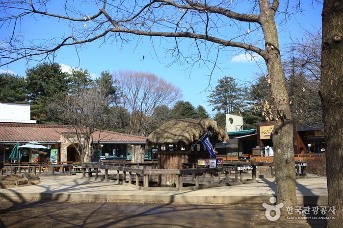 Namiseom Island (남이섬 종합휴양지)