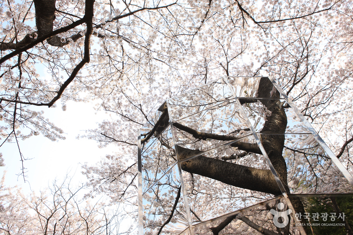 Parc des sculptures du mont Jangboksan (장복산 조각공원)