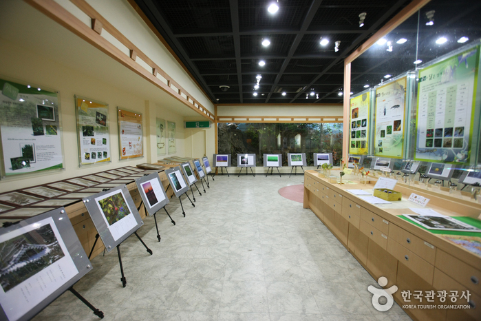 Centre d’informations des visiteurs du Mt. Naejangsan (내장산 탐방안내소)