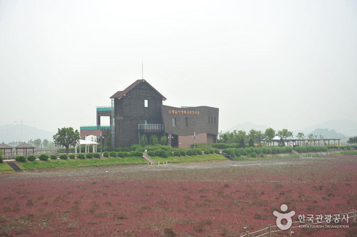 Sorae Ecology Park (소래습지생태공원)