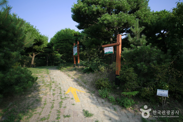 울산테마식물·수목원 이미지