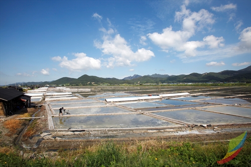 Gomso Salt Field (곰소염전)