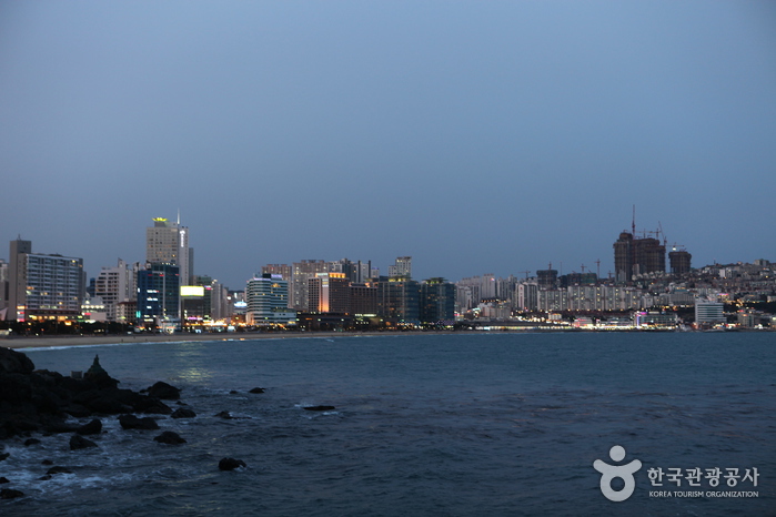 海云台冬柏岛해운대 동백섬