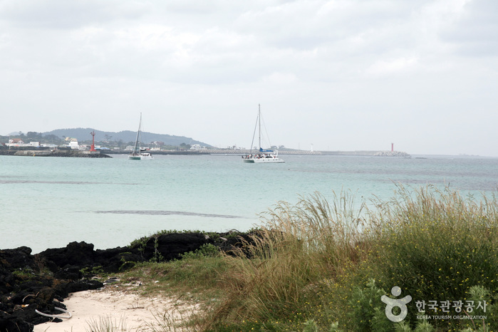 [제주올레 20코스] 김녕-하도 올레1