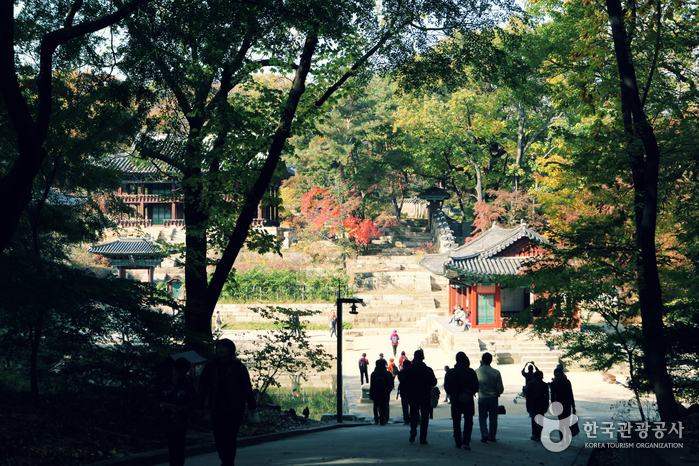 Jongno Cheonggye Special Tourist Zone (종로 청계 관광특구)