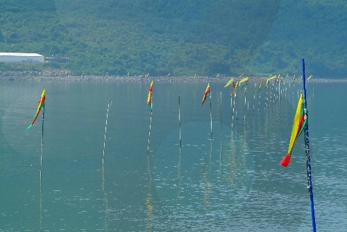 장흥 개매기축제 20181