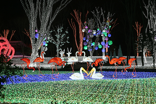 안산 별빛마을 포토랜드 빛축제
