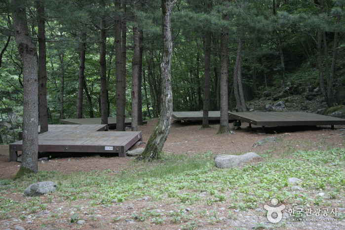 Nationaler Erholungswald Yongdae (국립 용대자연휴양림)