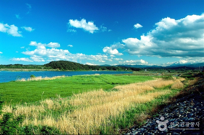 Fluss Namdaecheon (남대천)