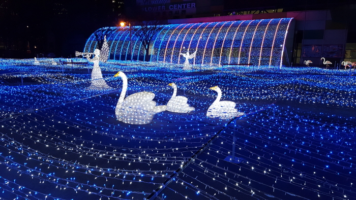 고양호수꽃빛축제 (Goyang Light Blooming Festival) 2017 사진4
