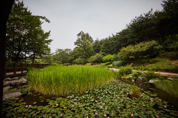 Botanischer Garten Namsan (남산 야외식물원)