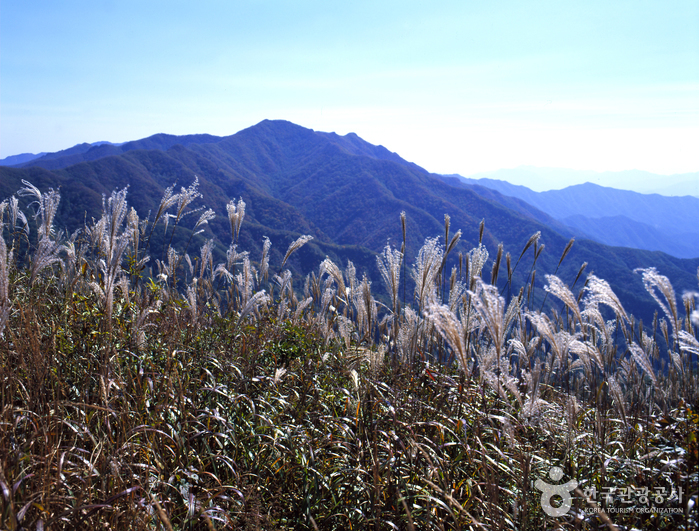 장안산군립공원