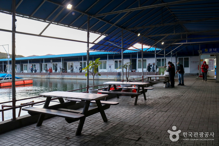 만정사계절바다낚시터1