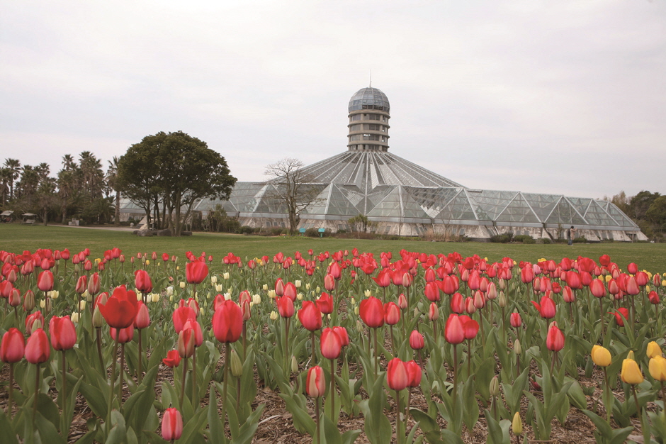 Yeomiji Botanical Garden, which houses Asia’s largest green house1