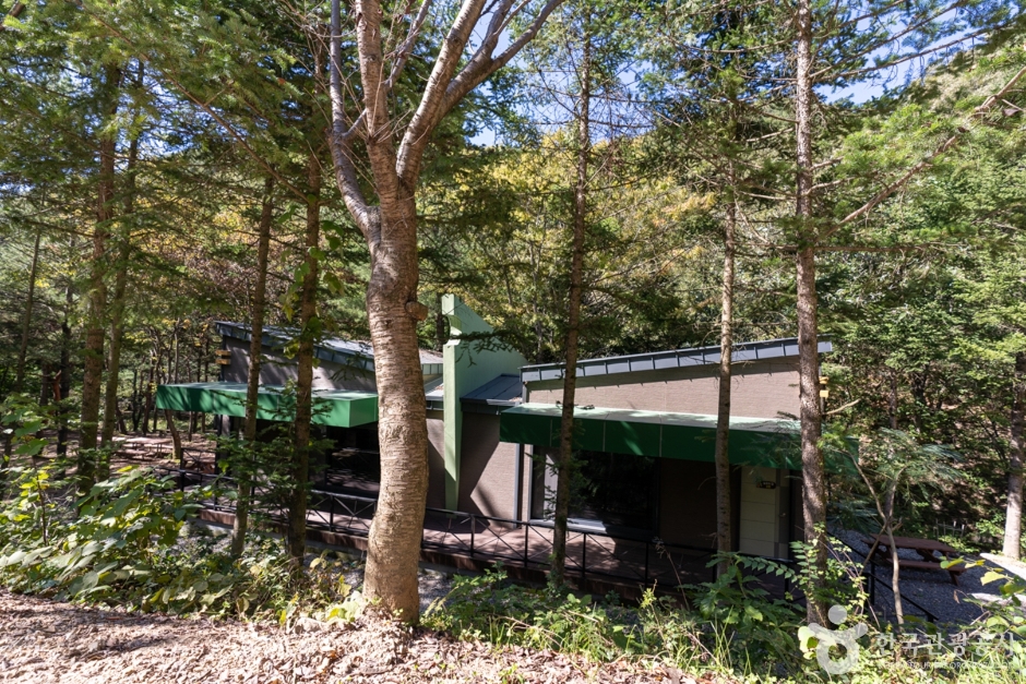Gunwi Janggok Recreational Forest (군위 장곡자연휴양림)