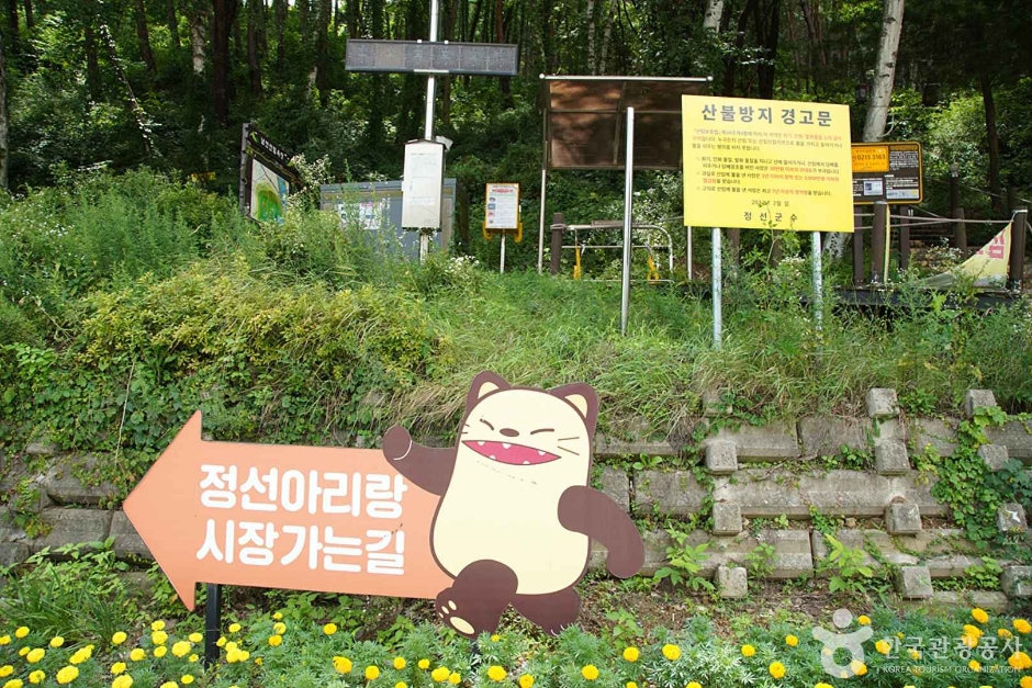 조양산(정선)