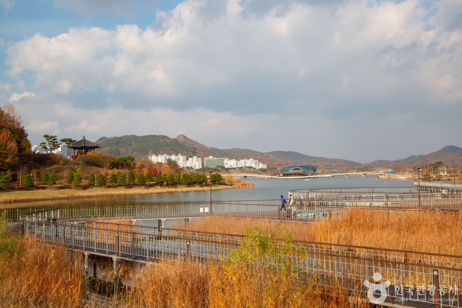 세종호수공원 일원 (4)