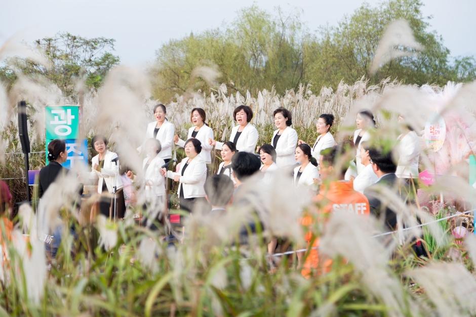 Festival del Eoksae de Seochang en Gwangju (광주서창억새축제)