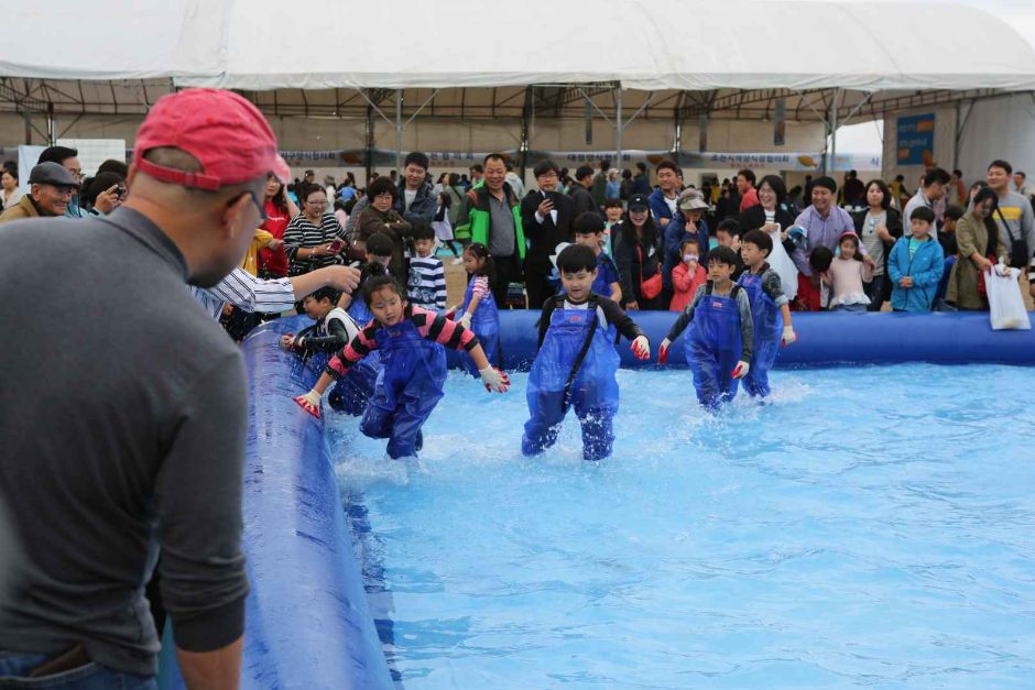 제주광어대축제