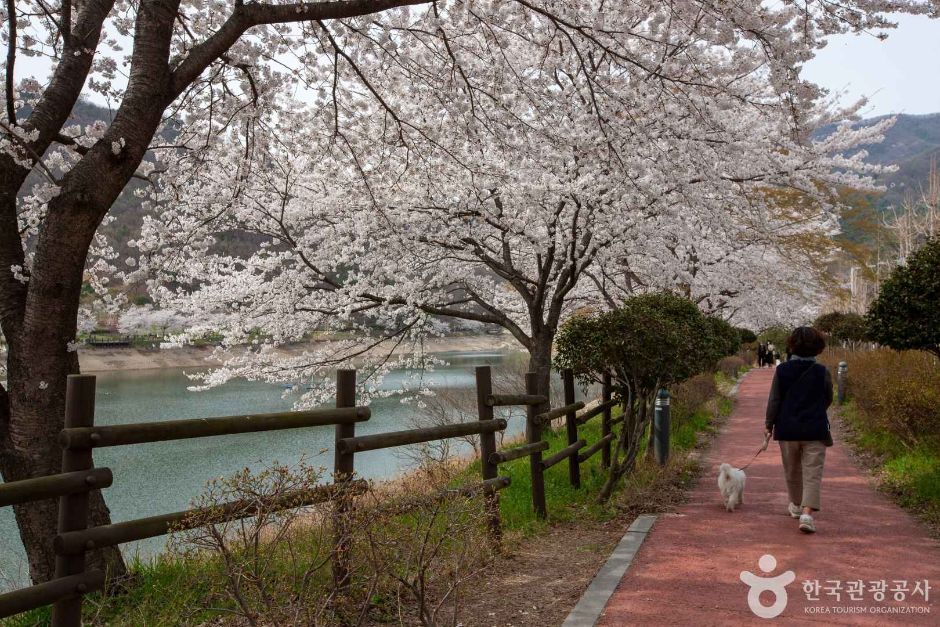 동구리호수공원