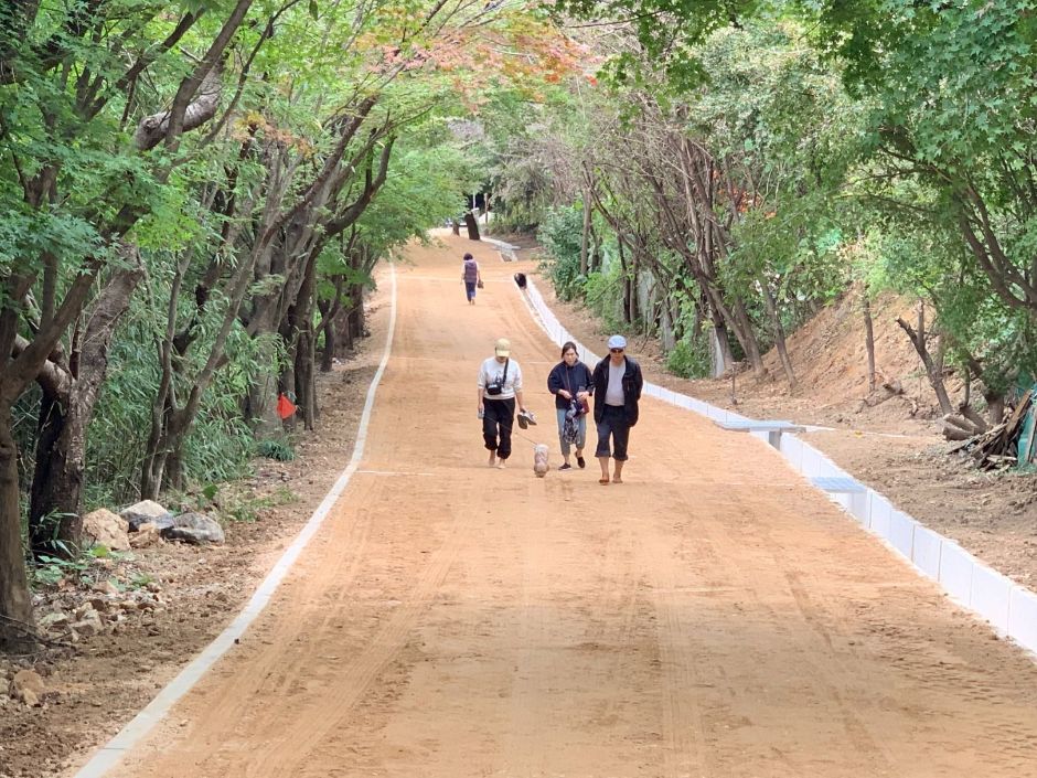 금당산 맨발로