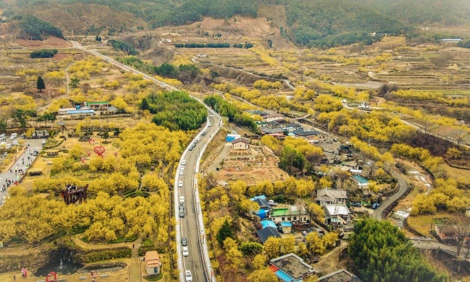 Festival de las Flores de Sansuyu de Gurye (구례산수유꽃축제)