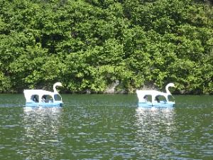 2025 남이섬 벗(友)꽃놀자 6