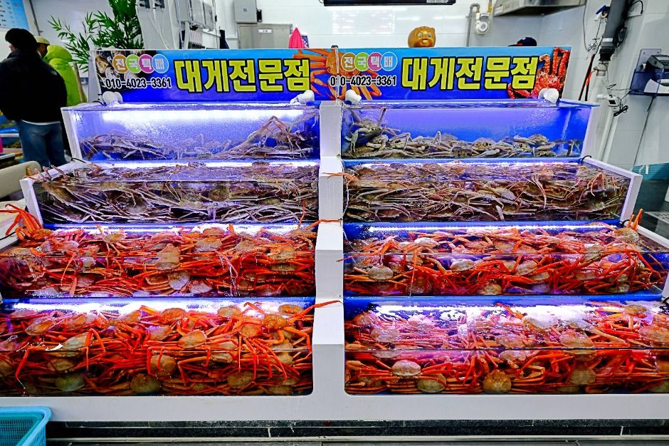 삼척항활어회센터