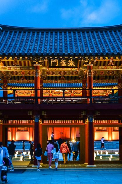 빛 축제 영원