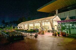 2025 국립세종수목원 야간개장 (2)