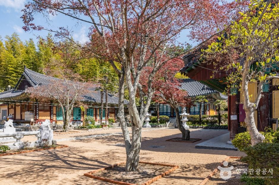 묘관음사