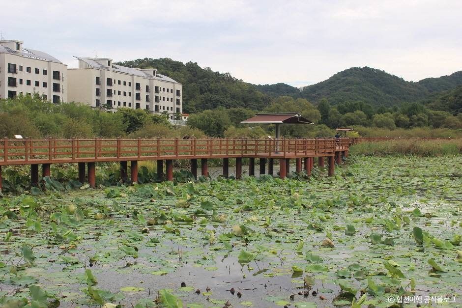 정양늪생태공원