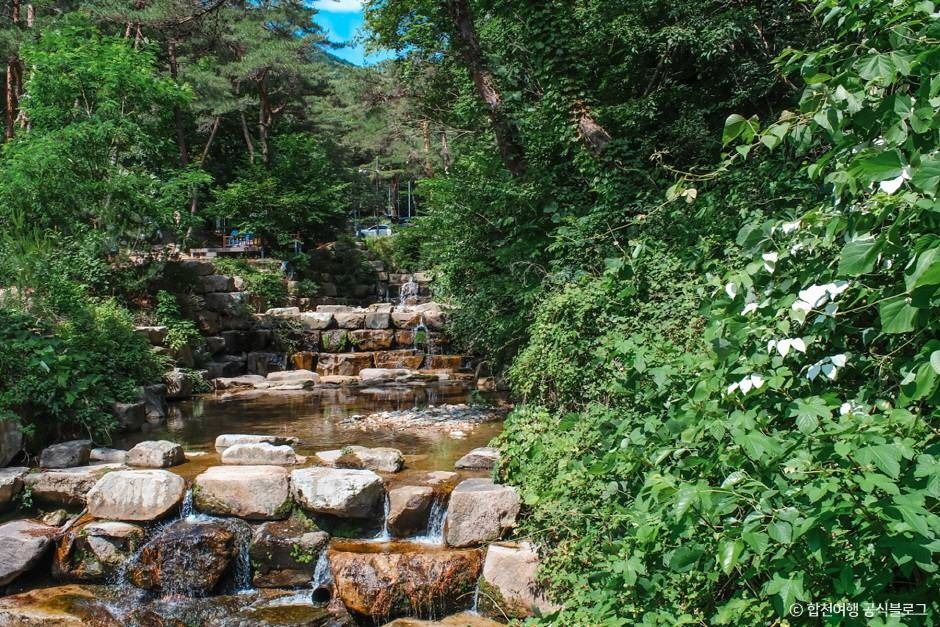 오도산자연휴양림