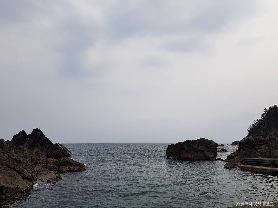 비화항