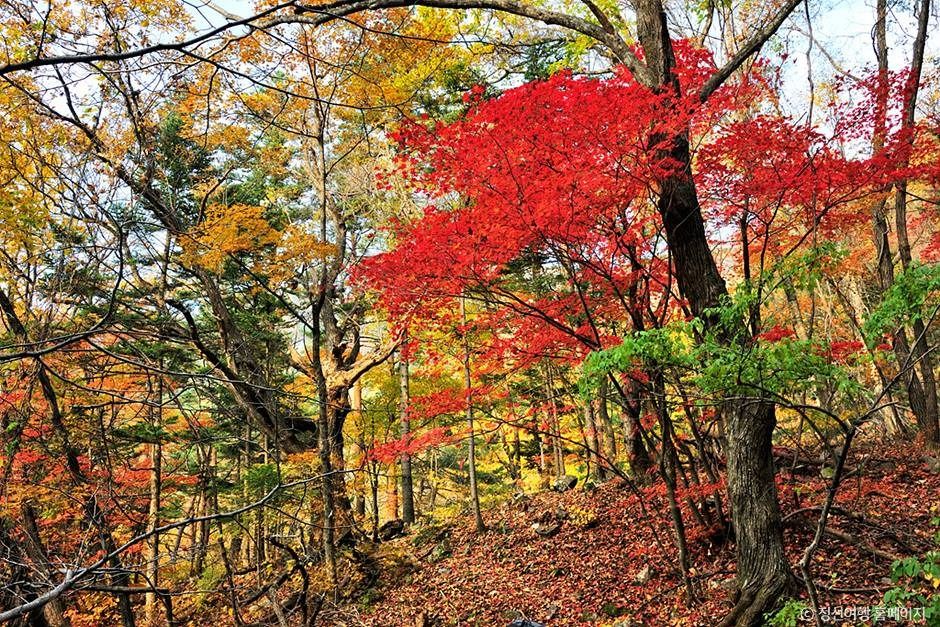 노추산