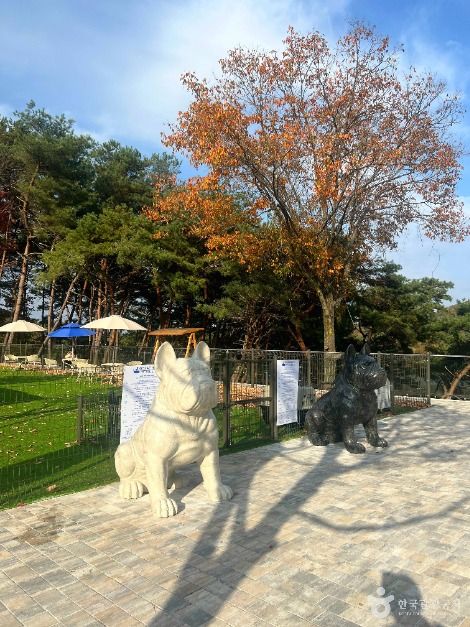 카페 고래호수