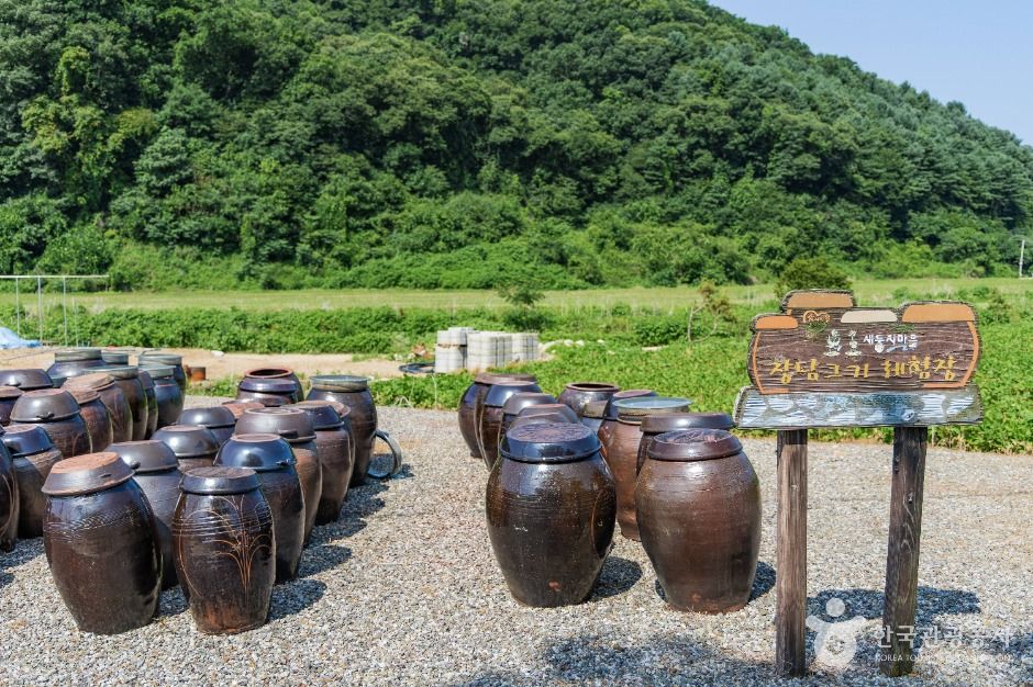 새둥지마을