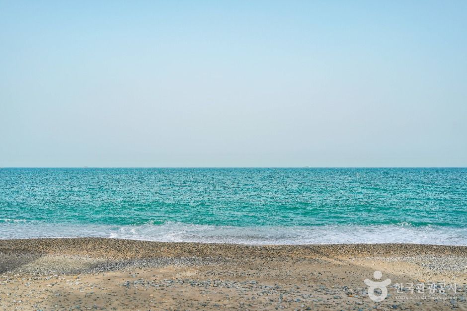 관성솔밭해변